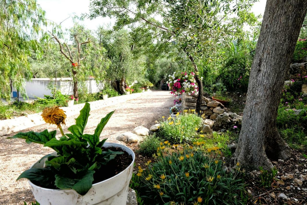 Terra Di Ulivo Vieste Exterior foto
